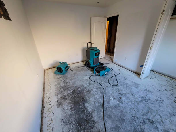 Best Water damage repair service  in Goodyear, AZ