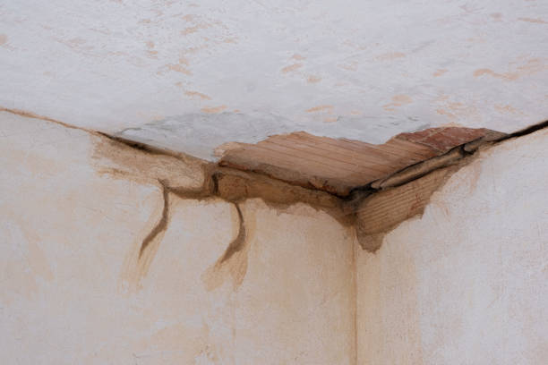 Best Professional water damage repair  in Goodyear, AZ